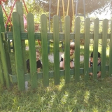 piknik-rodzinny