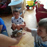 dzieci-biora-udzial-w-zajeciach-zoologicznych