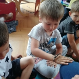 dzieci-biora-udzial-w-zajeciach-zoologicznych