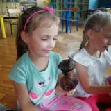 dzieci-biora-udzial-w-zajeciach-zoologicznych