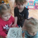 wiosna-w-grupie-elfy