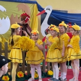 brzydkie-kaczatko