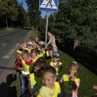 miniatura_krasnale-bezpieczni-na-drodze