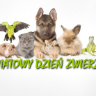 miniatura_swiatowy-dzien-zwierzat
