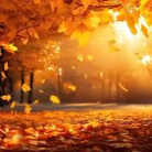 miniatura_spacer-w-parku